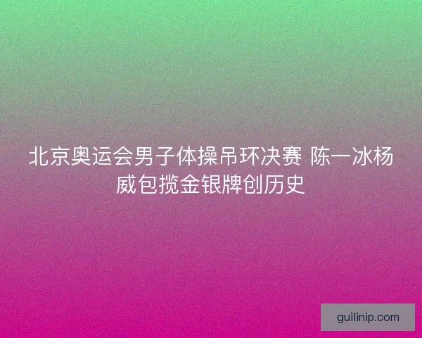 北京奥运会男子体操吊环决赛 陈一冰杨威包揽金银牌创历史