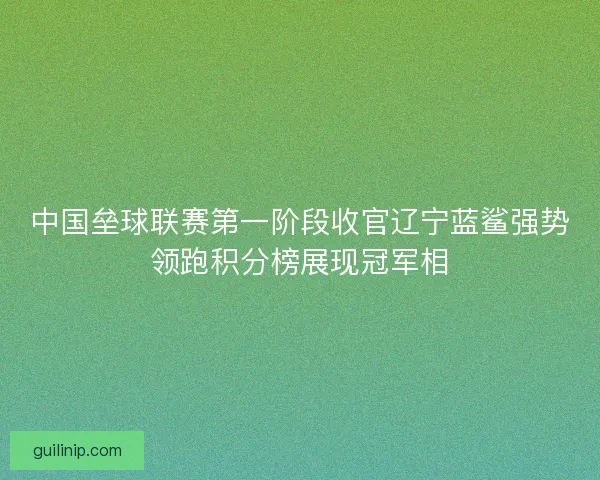 中国垒球联赛第一阶段收官辽宁蓝鲨强势领跑积分榜展现冠军相